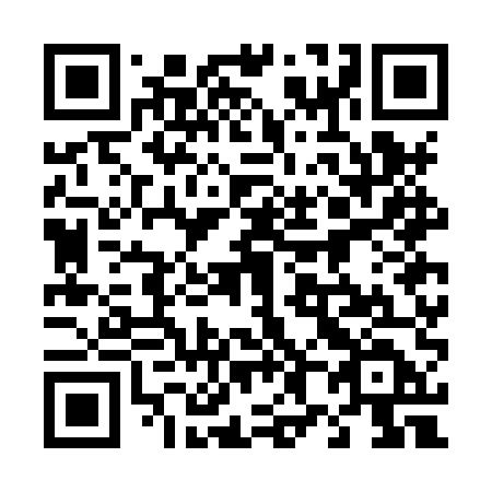 QR code for plate 487 HUD