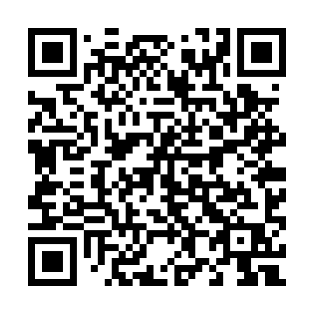 QR code for plate 487 PYP