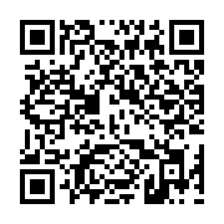 QR code for 488 CZK