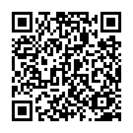 QR code for plate 488 WRU