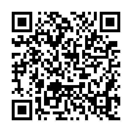 QR code for plate 489 GOO