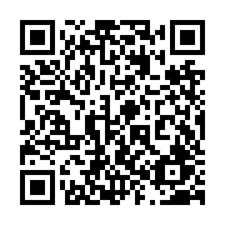 QR code for plate 489 NZV