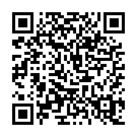 QR code for plate 489 PCM