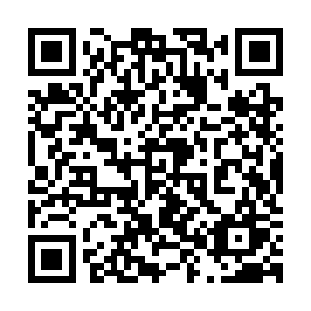 QR code for plate 489 SKW