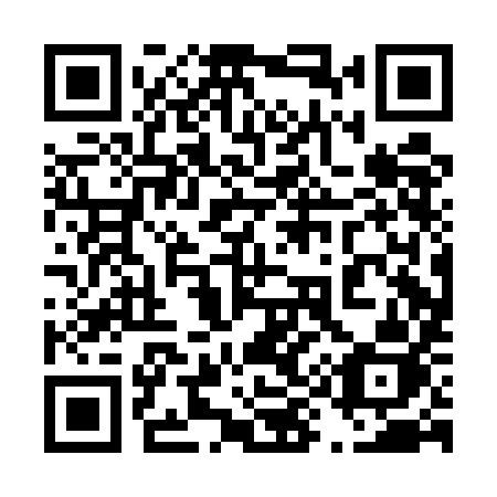 QR code for plate 490 EIJ