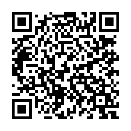 QR code for 491 LEU