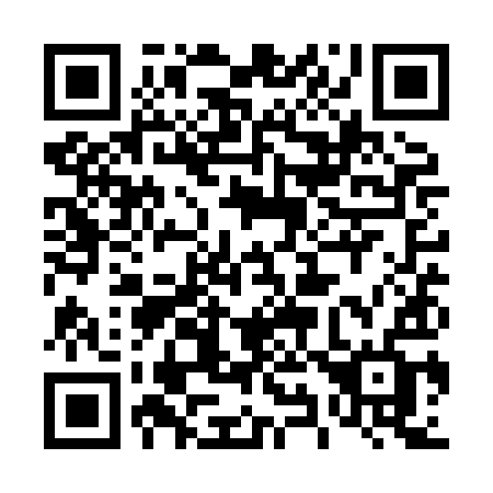 QR code for 491 XIF