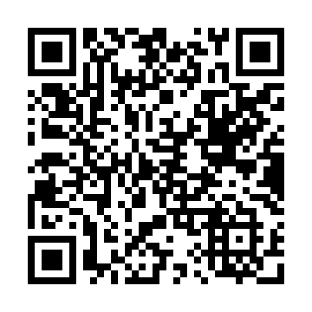 QR code for 491 ZMK