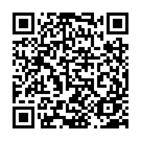 QR code for plate 491 CTU