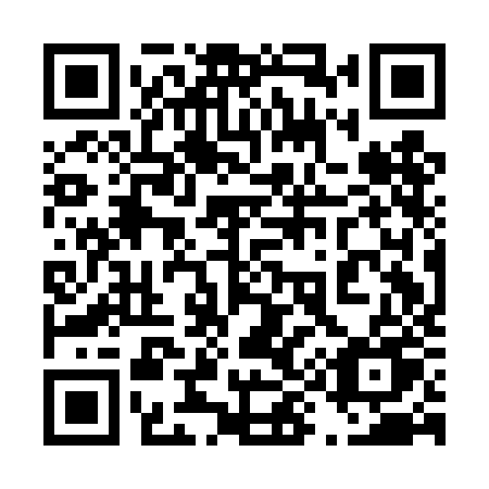 QR code for plate 491 DJU