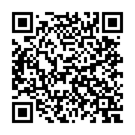 QR code for 491DUS