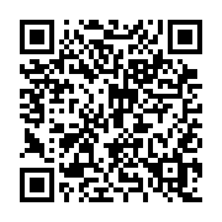QR code for plate 491 SEL