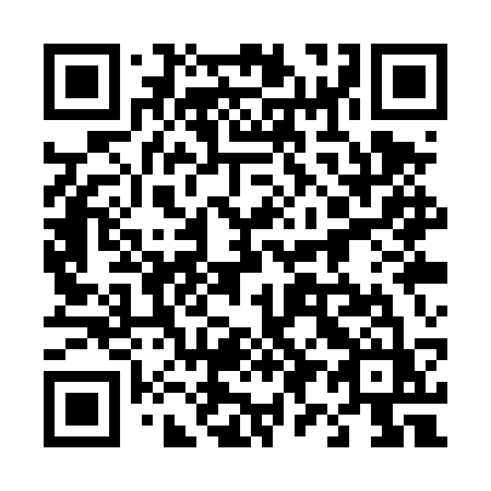 QR code for plate 491 TSZ