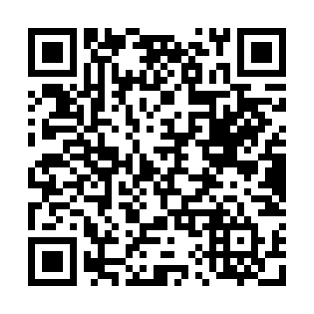 QR code for plate 491 VNT
