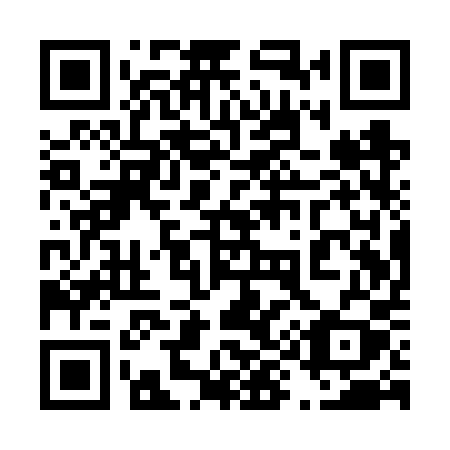 QR code for plate 491 VPY