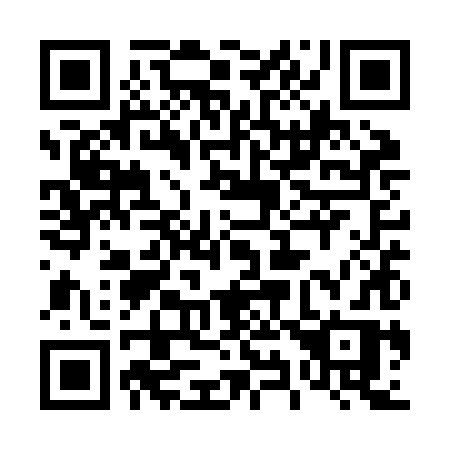 QR code for 491ZHR