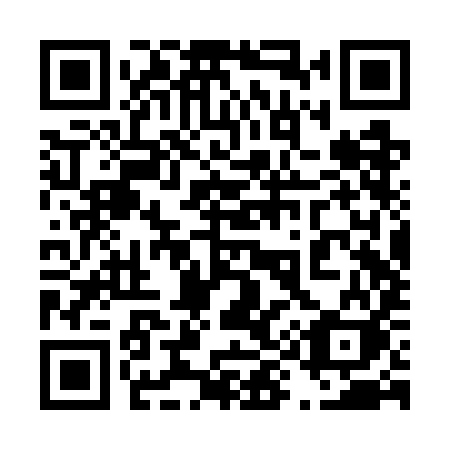 QR code for plate 492 WIK