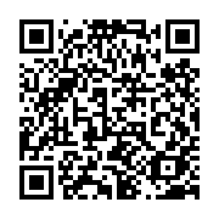 QR code for 493 DPH