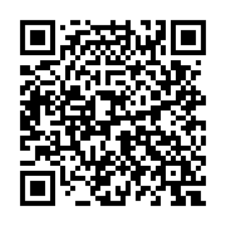 QR code for 493 EUY