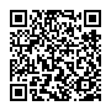 QR code for 493 FIP