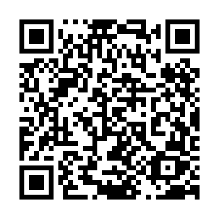 QR code for 493 PFZ