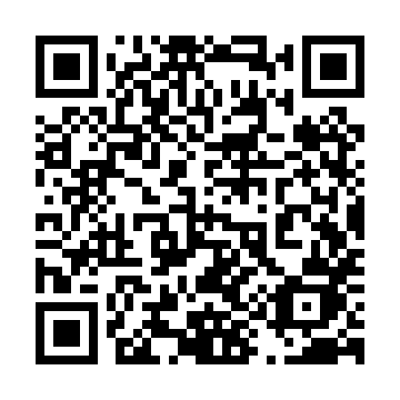 QR code for 493 PXJ