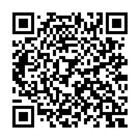 QR code for 493 UCF