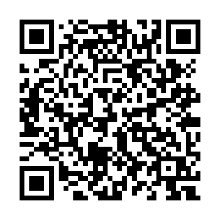 QR code for 493 ZIR