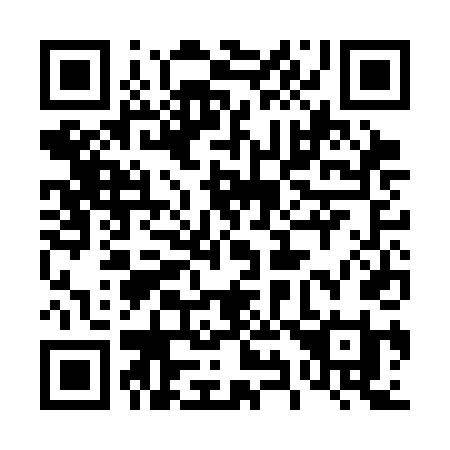 QR code for plate 493 CDI