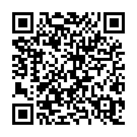 QR code for plate 493 MLE