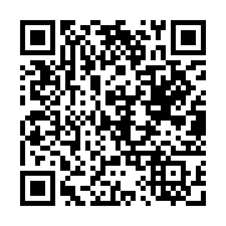 QR code for plate 493 YBS