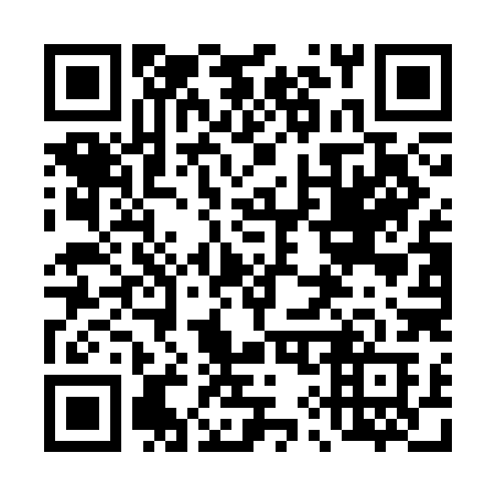 QR code for plate 494 CHB