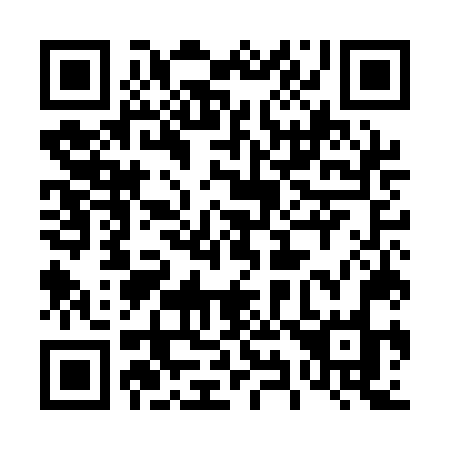 QR code for 495 ANO
