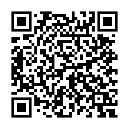 QR code for 495 DWS