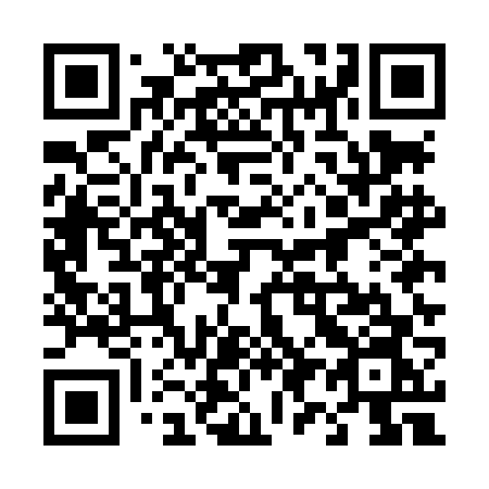 QR code for 495 LFN
