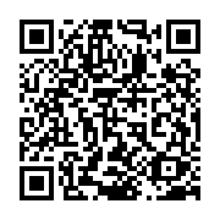 QR code for 495AVY