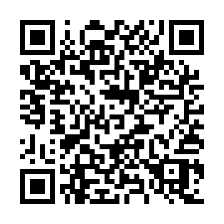 QR code for 495QAR