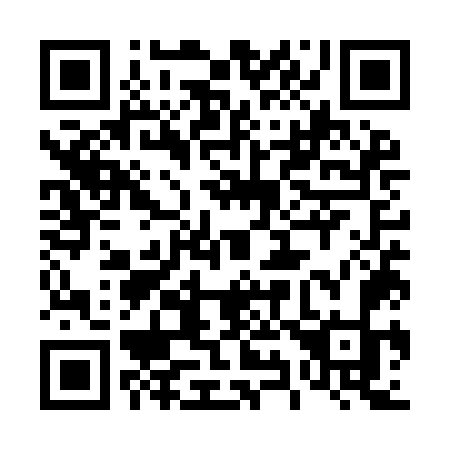 QR code for plate 495 YOK