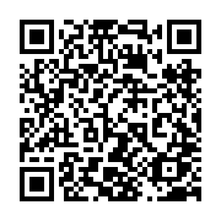 QR code for plate 496 BLQ