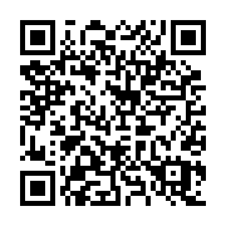 QR code for plate 496 RDU