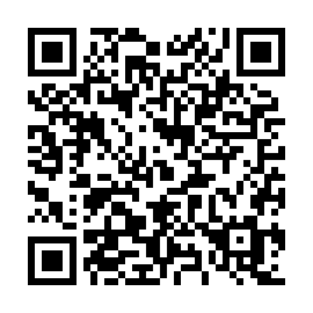 QR code for plate 496 XGM