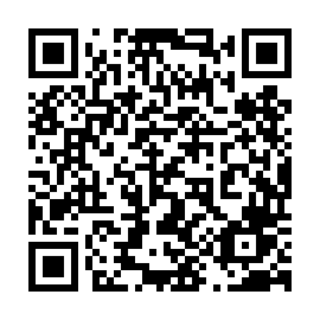 QR code for plate 498 TDV
