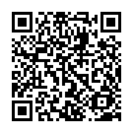 QR code for 499 QZJ