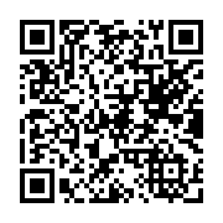 QR code for plate 499 XML