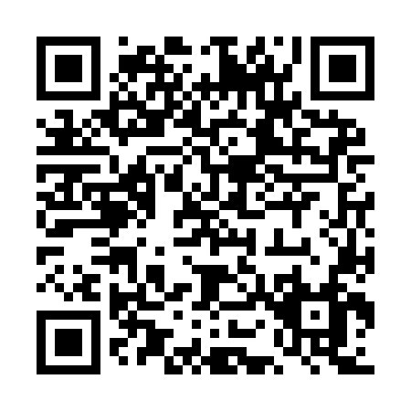 QR code for 4O6IN