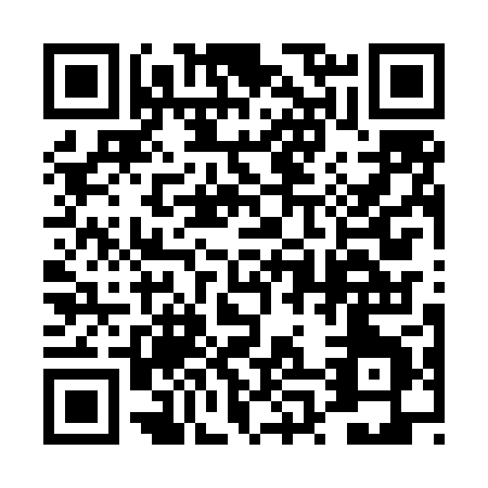 QR code for 4P0LP