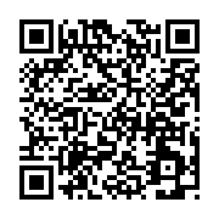 QR code for 4P1AG