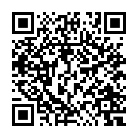QR code for 4P1AP