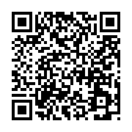 QR code for 4P1DG