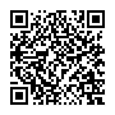 QR code for 4P5IC